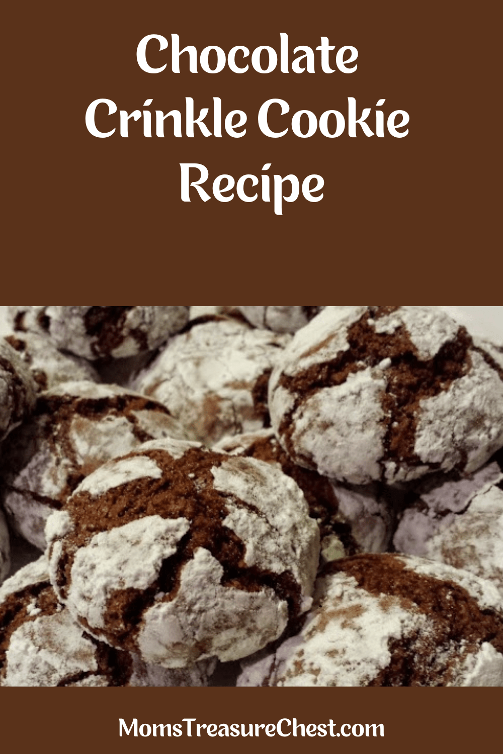 Chocolate Crinkle Cookie