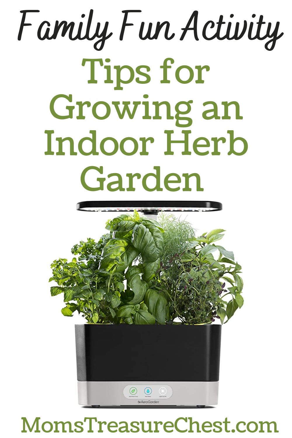 Indoor Herb Garden tips